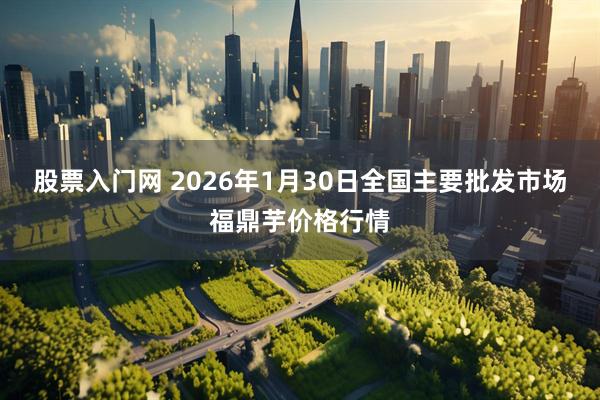 股票入门网 2026年1月30日全国主要批发市场福鼎芋价格行情
