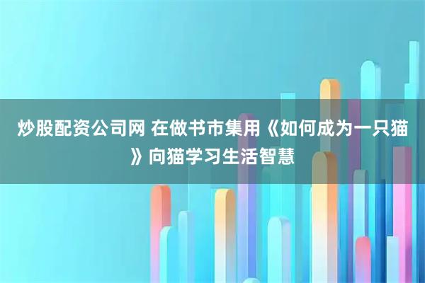 炒股配资公司网 在做书市集用《如何成为一只猫》向猫学习生活智慧